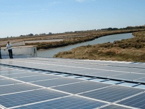 Criar doradas con renovables ahorra un 30% de oxígeno y otro 30% de electricidad