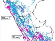 Adjudican la instalación de medio millón de sistema fotovoltaicos