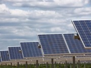  Piden una Unión Europea 100% renovable