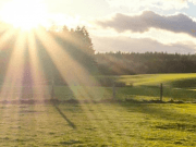 Madrid premia un proyecto europeo liderado por el Instituto de Energía Solar