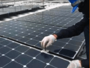  Dow abre fábrica en Alemania para atender el mercado europeo