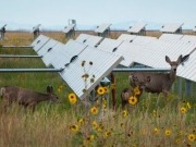 Health of Germany’s solar market inspires further discussion of grid needs