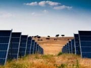 España representa menos del 10% del valor de Solaria