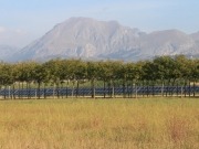 Europeans demand political focus on decentralised solar energy