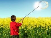 US PV manufacturer SpectraWatt to auction off production facilities