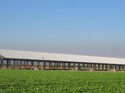 Conergy instalará un sistema solar de 725 kW para el procesamiento de almendras en California