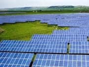 Yingli Green Energy supplies solar panels to Serbia