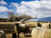 Solar Farms – A Taxing Problem for Farmers?