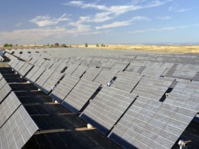 Revealing the Sunny Side of Solar and Other Renewables to Achieve Success