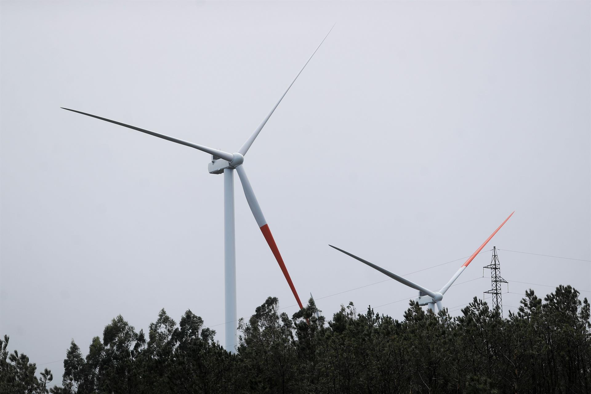 Greenalia renuncia a un parque eólico de 106 MW en Lugo por falta de acceso a la red