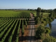 Instalan en un viñedo la primera bomba de calor geotérmica del país