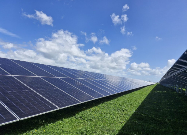 Golden Row Installed at New Zealand