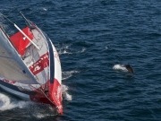 Acciona le da la vuelta al mundo