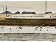 Plan Tren 2020, las claves para que el tren sea motor económico y social de futuro