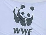 El coche privado consume el 15% de toda la energía demandada en España