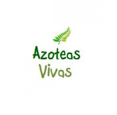 “Azoteas vivas” gana el concurso Big Bang Challenge
