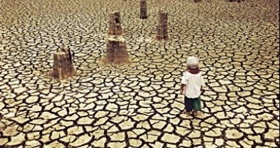 Little positive in OECD’s 2050 Environmental Outlook