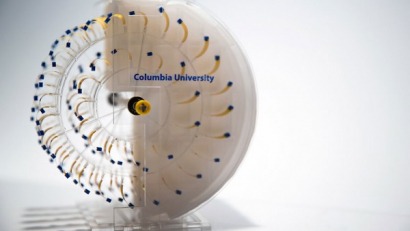Diseñan un motor impulsado por evaporación de esporas bacterianas
