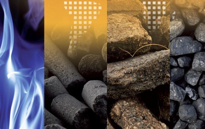“Little real progress” in eliminating fossil fuel subsidies, warns biofuels association