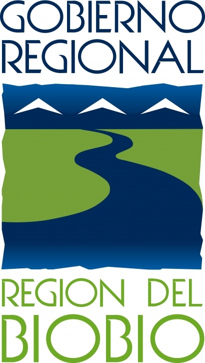 Estímulo a las renovables en Bio Bio y en Magallanes