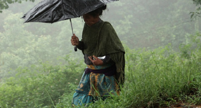 Récord de millones invertidos en el mundo para hacer frente al cambio climático