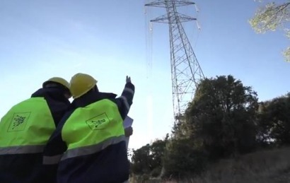 REE obtiene el Premio Europeo de Medio Ambiente