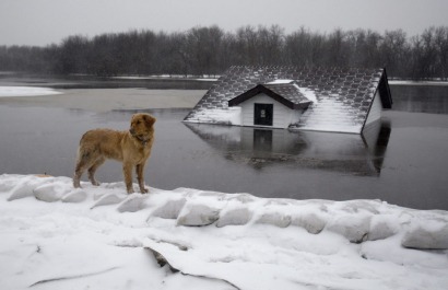 Is climate change really happening?  Just ask your insurance agent!