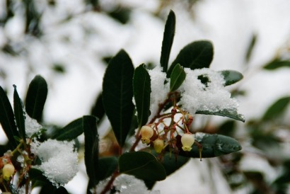 Have a Merry Christmas and a healthy, prosperous and renewables filled 2014