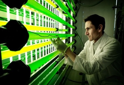Iberdrola Engineering and Technology Center Ainia create revolutionary microalgas