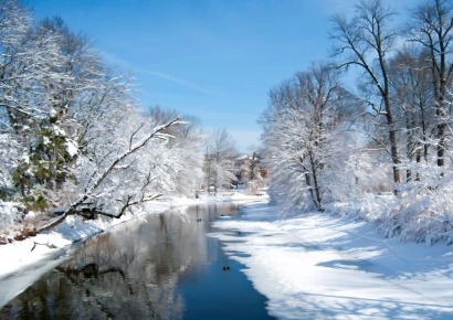 A very Merry Christmas to you, our loyal readers and dear friends