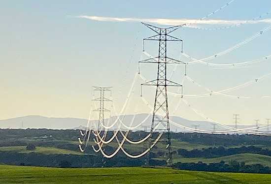 Tendido eléctrico sobre paisaje verde. Cables brillantes al amanecer