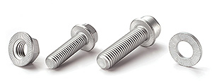 Böllhoff arandelas de seguridad Ripplock