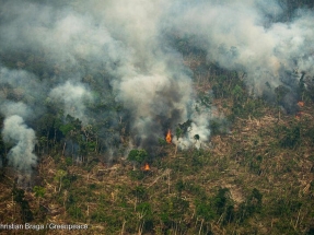 ONG denuncian recortes medioambientales en el presupuesto proyectado por el gobierno de Bolsonaro