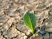 Las renovables y la eficiencia energética generan el 38% del empleo verde de España