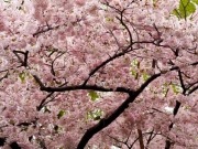 A year later, the cleanup is just beginning