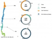 La electricidad con base renovable creció un 15% en un año