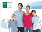 En 2011, el 24% de la electricidad tuvo su origen en las renovables y la cogeneración eficiente