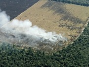 Little positive in OECD’s 2050 Environmental Outlook