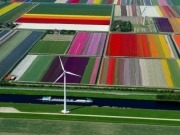 El 16% de la energía final que consumió la UE en 2014 salió de fuentes renovables
