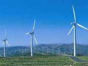 SEO/BirdLife presenta una batería de medidas para lograr un modelo energético renovable