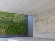 Los jardines verticales siguen ganando espacio