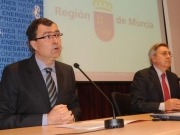 Murcia decide simplificar la "extensa y compleja" regulación del autoconsumo