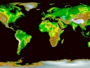Hacia una economía más verde: un fenómeno global