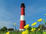 La isla de Pellworm, "el mundo energético del futuro a pequeña escala"