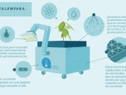 Plantas que dan luz, ¿nace una nueva energía renovable?