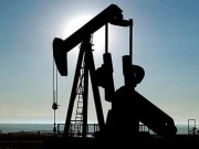 Las renovables, el petróleo y la envidia