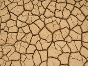 Un año más, un 1% de agua menos