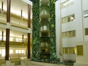 Un jardín vertical puede reducir la temperatura de un edificio hasta 10ºC