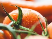 El tomate eléctrico