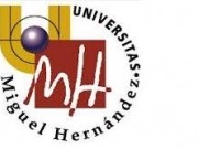 El autoconsumo y la fotovoltaica, protagonistas en la UMH